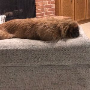 Meet your Posher, Renee